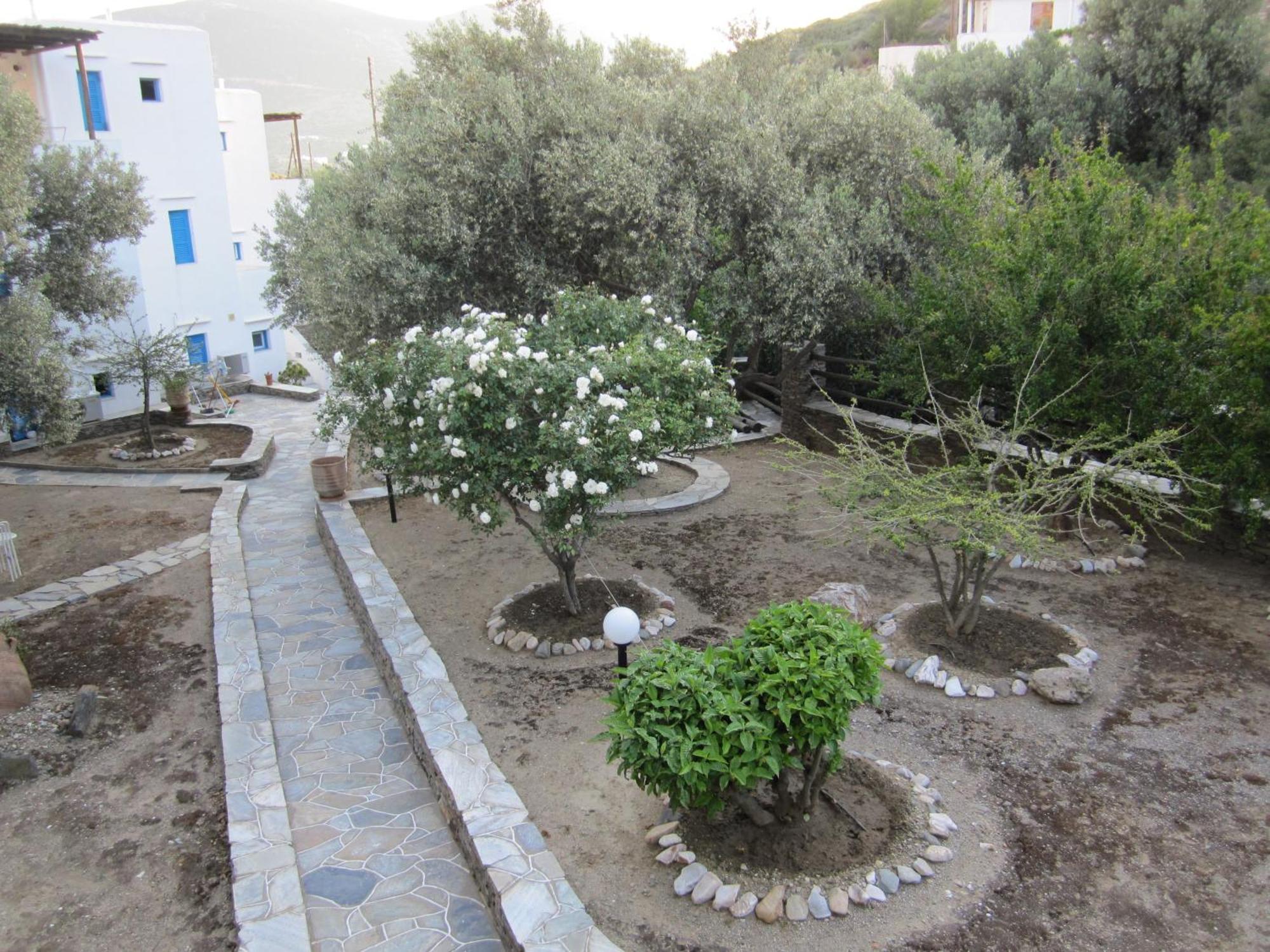 Alexandros Hotel Platis Gialos  Luaran gambar