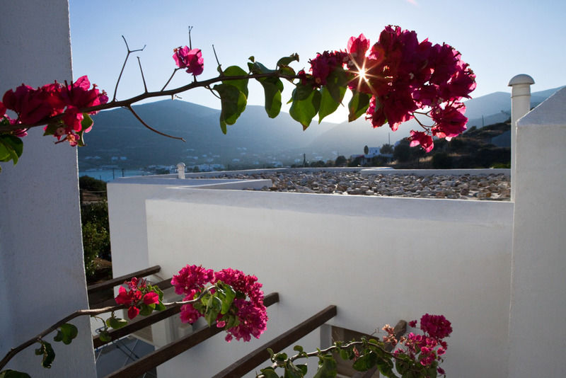 Alexandros Hotel Platis Gialos  Luaran gambar